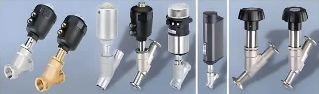ساختار و عملکرد انگل ولو بروکرت